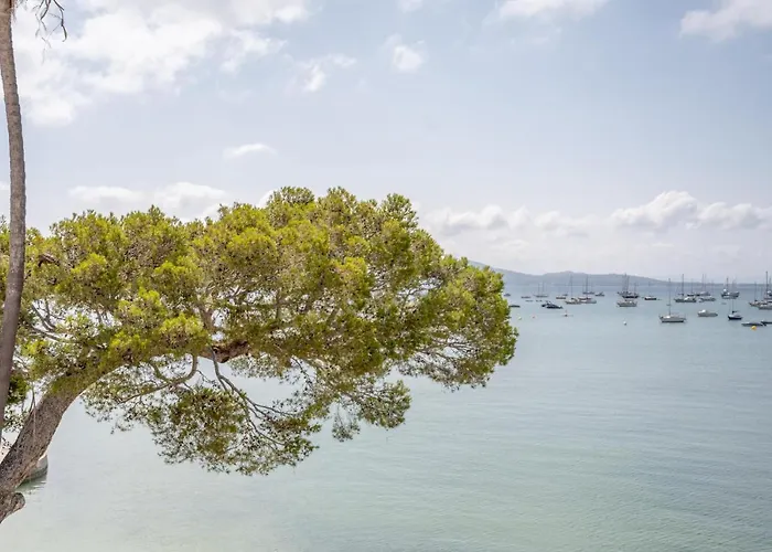 Catalina 2a Tres بورت دي بوينسا